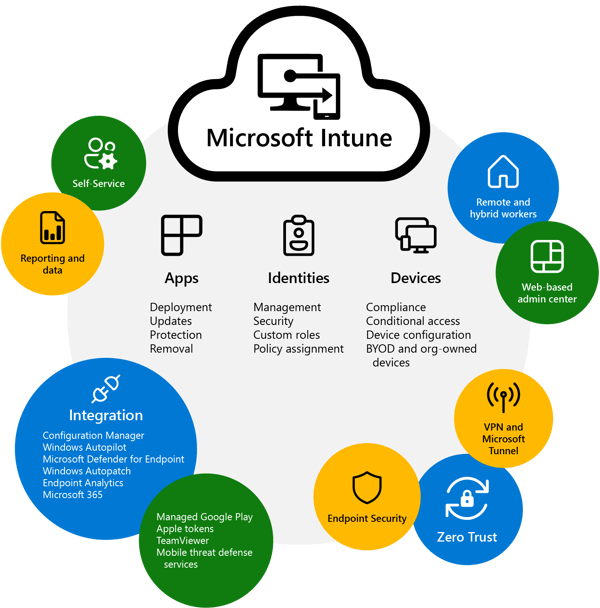 Mobile Device Management IT support team managing mobile devices with Microsoft Intune MDM for small business security and productivity.